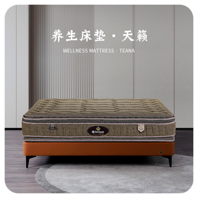 美国Eclipse伊丽丝床垫亮相深圳展,产品升级助力舒适健康睡眠